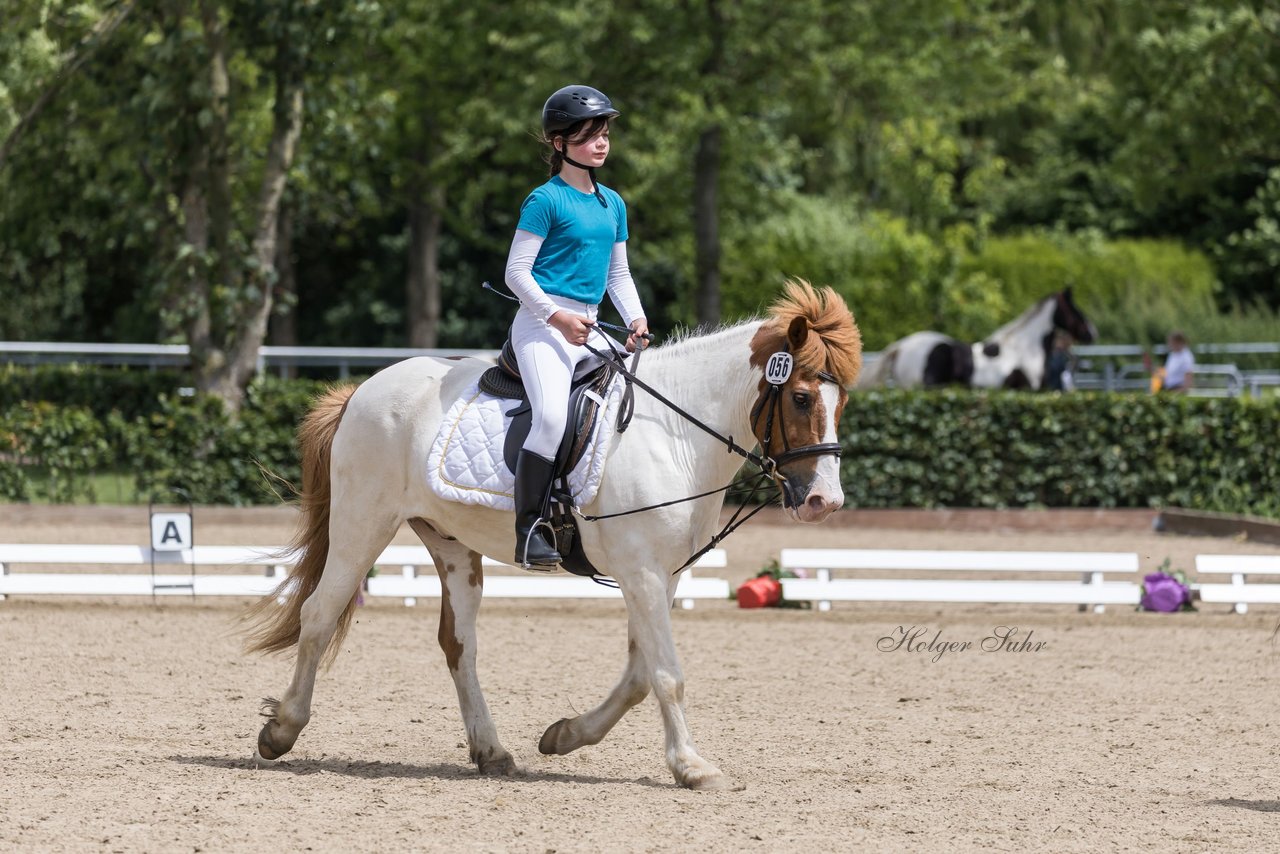 Bild 84 - Pony Akademie Turnier